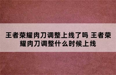 王者荣耀肉刀调整上线了吗 王者荣耀肉刀调整什么时候上线